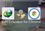 Ekstensi IDM Untuk Chrome