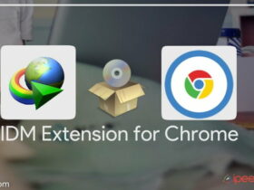 IDM Extension For Chrome