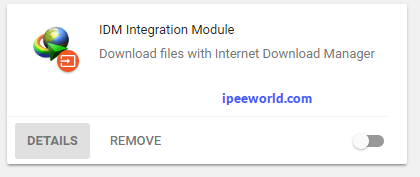 IDM Extension in Chrome