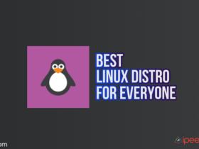 best linux distro for everyone