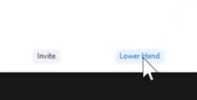 lower hand on zoom