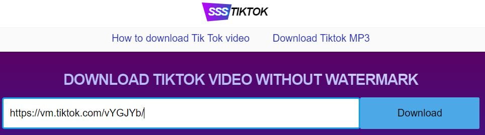 paste tiktok video link