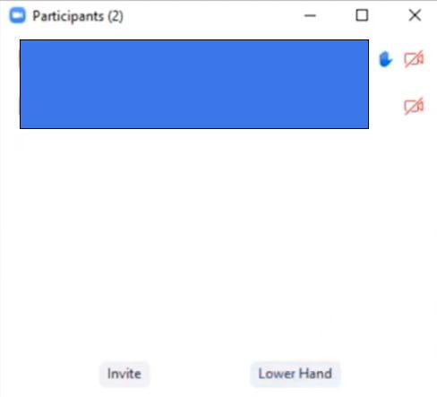raise hand on zoom desktop application