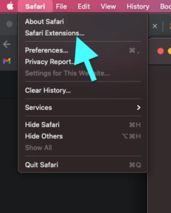 Safari Extensions Option 241x300 