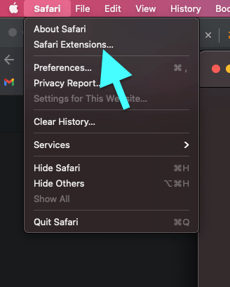 Safari Extensions