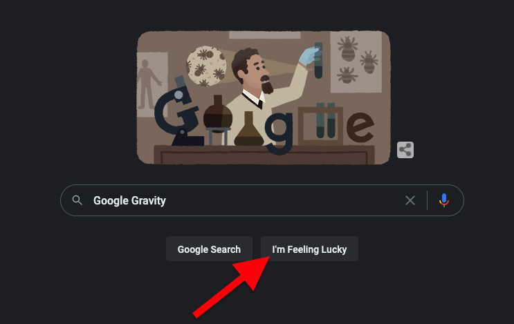 Google Gravity Guide
