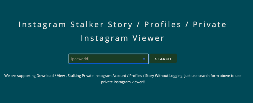 Private Instagram story viewer