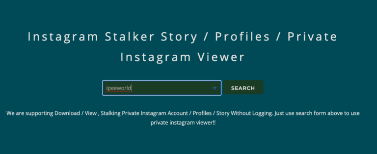Private Instagram Viewers - How to Use and Best Sites in 2024