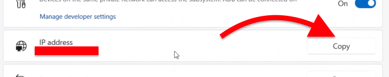 Copy the IP Address