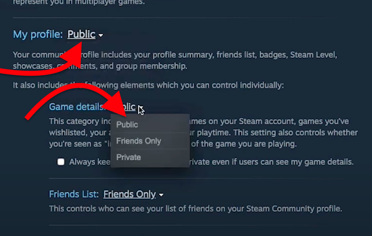 Steam Profile Privacy Settings