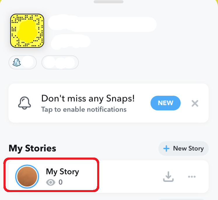 Snapchat story settings