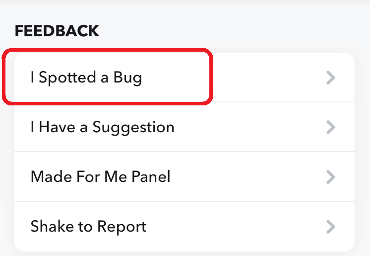 report snapchat bug