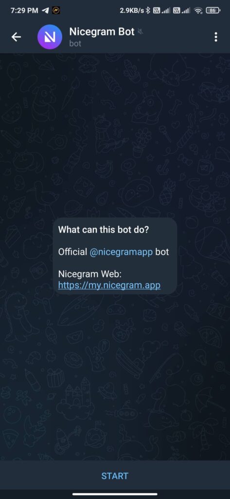 start nicegram bot