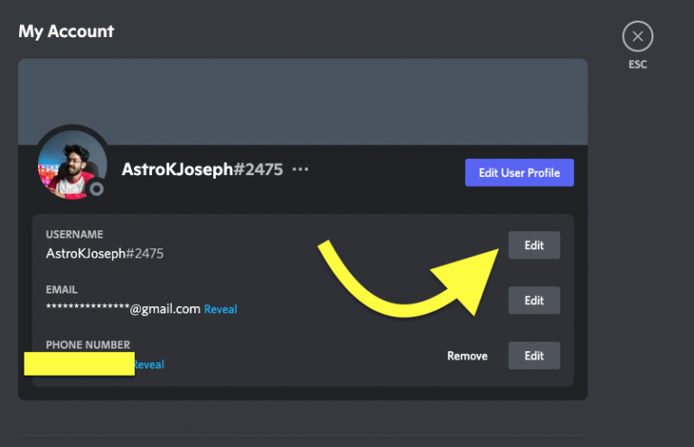 How to Put Emojis in your Discord Username