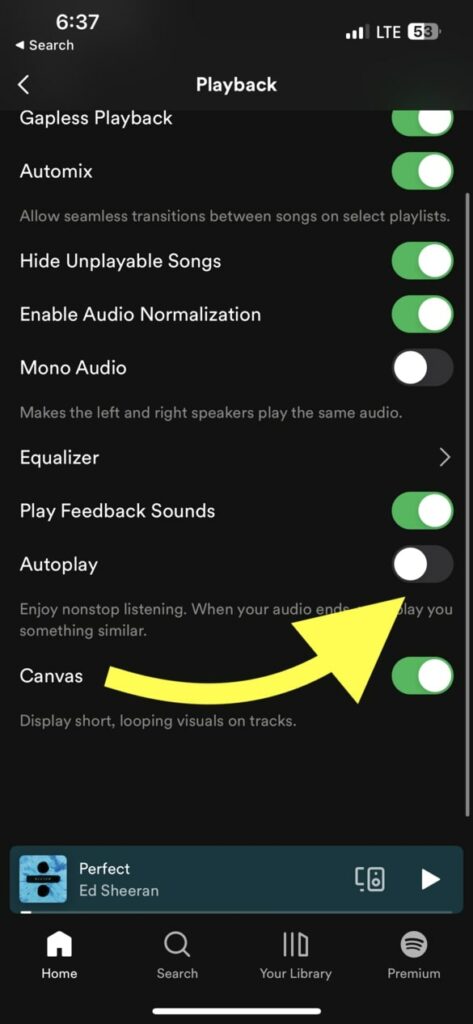 turn off spotify autoplay