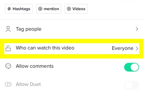 who can view your tiktok video option