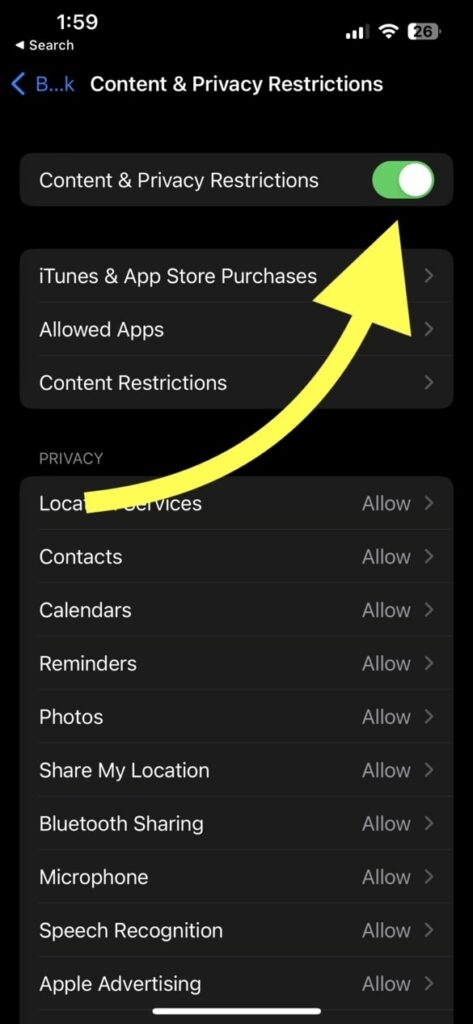 Turn On Content & Privacy Restrictions Toggle